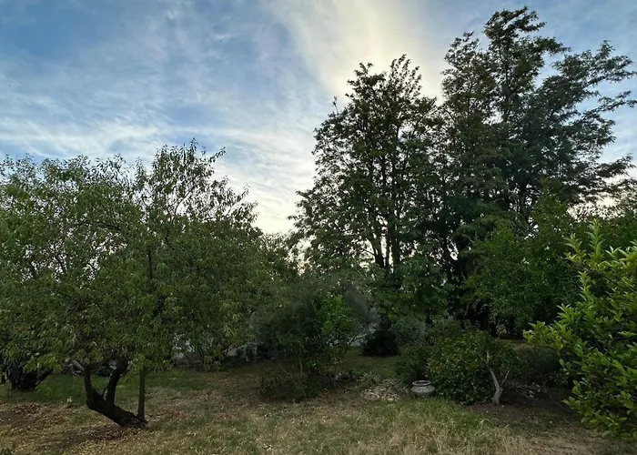Twin Trees Cottage