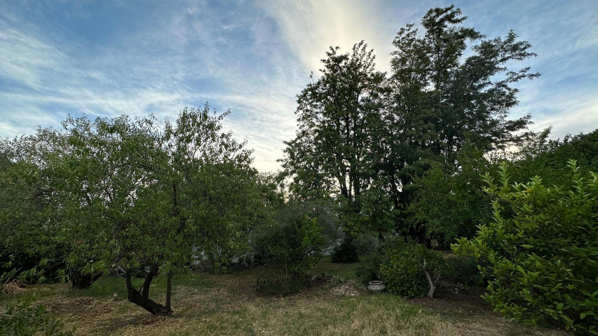 Holiday home Twin Trees Riebeek-Kasteel